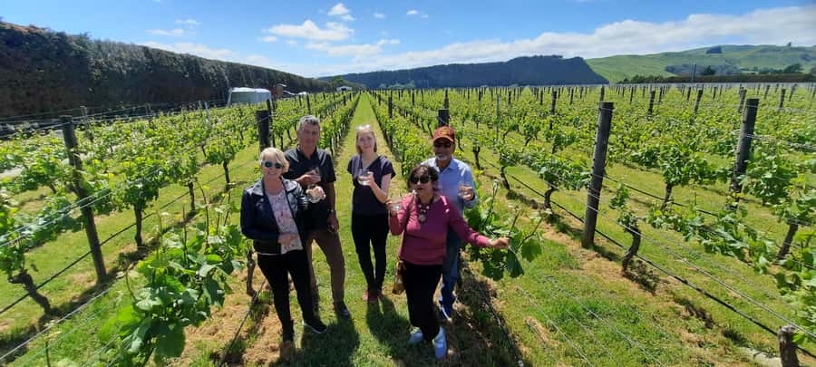 From Wellington: Martinborough Winery Tour - Why Martinborough makes a good Wellington side trip