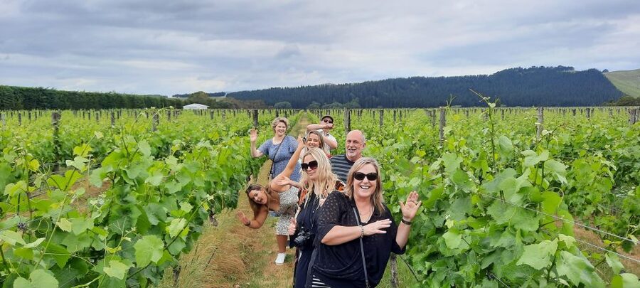 From Wellington: Martinborough Winery Tour - The guide can make or break the outing