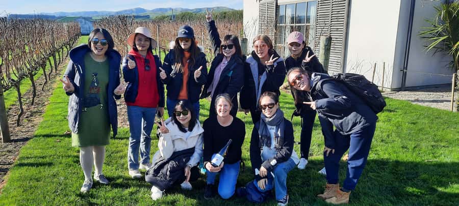 From Wellington: Martinborough Winery Tour - My call: book it for a well-balanced half-day