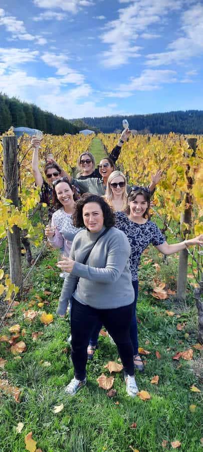 From Wellington: Martinborough Winery Tour - The drive over the Remutaka Ranges