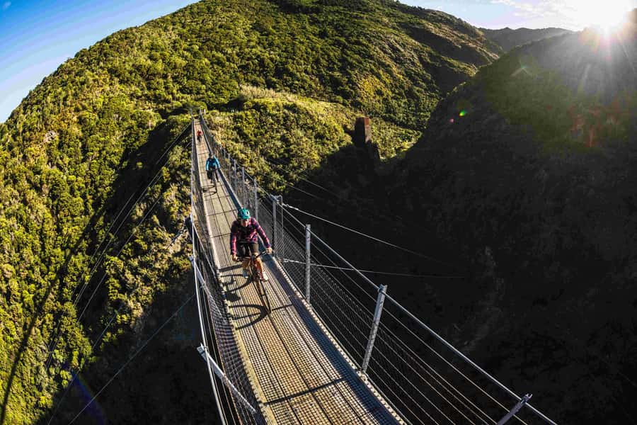 From Wellington: Remutaka Rail Trail eBike Tour - Key points before you book