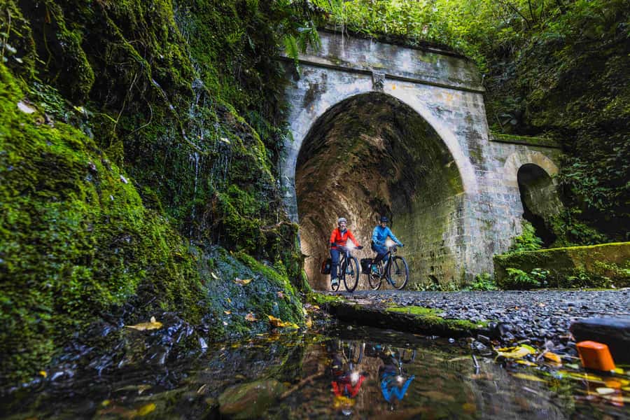 From Wellington: Remutaka Rail Trail eBike Tour - From Wellington Station to the Remutaka foothills