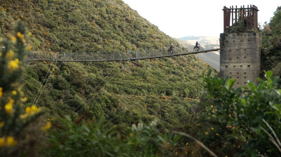 From Wellington: Remutaka Rail Trail eBike Tour - The summit plateau and picnic lunch