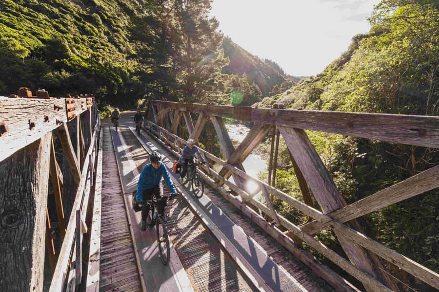 From Wellington: Remutaka Rail Trail eBike Tour - What the $131 price buys you