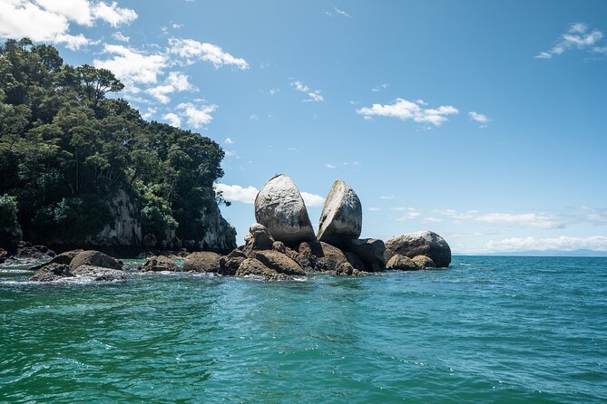 Full-Day Abel Tasman National Park Hiking Tour with Cruise - Forest trails, Māori connections, and local plants