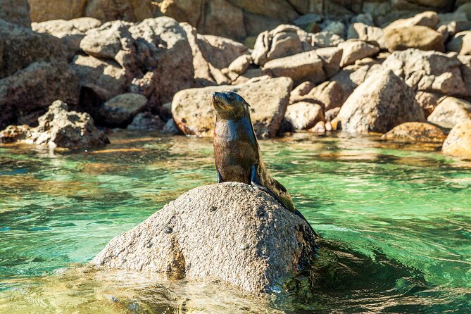 Full-Day Abel Tasman National Park Hiking Tour with Cruise - What the $371.72 price really covers