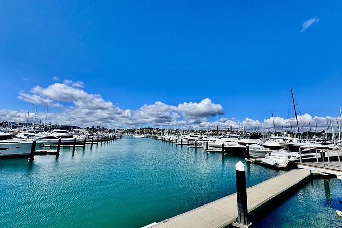 Full-Day Auckland Discovery - The Harbour Bridge explains Auckland’s shape
