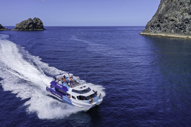 Full-Day Bay of Islands Tour by Vigilant Yacht Charters - Who will get the most from this yacht trip