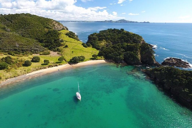 Full-Day Bay of Islands Tour by Vigilant Yacht Charters - Why the wind shapes your day