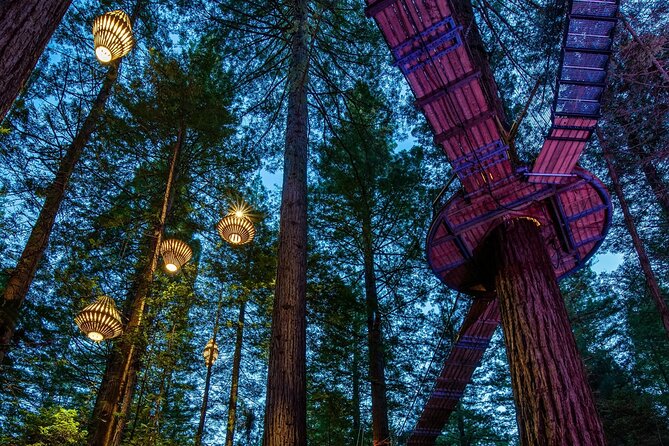 Full Day Customisable Tour with Driver & Luxury Car Unlimited Kms - Waitomo means glowworms, limestone, and extra planning