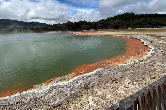 Full-Day Driver with Tesla Car-Customisable North Island Tour - Redwoods, Skyline, and Rotorua family activities
