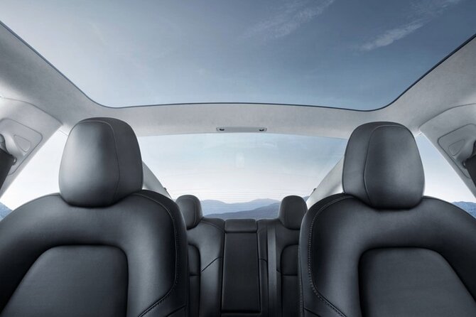 Full-Day Driver with Tesla Car-Customisable North Island Tour - Who should book this North Island outing?