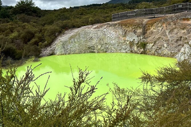 Full-Day Driver with Tesla Car-Customisable North Island Tour - Choosing between Auckland, Waikato, and Rotorua