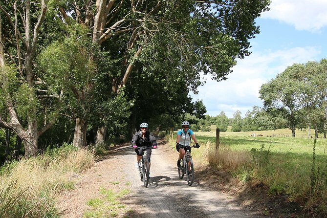 Full Day Ebike Tour in Karangahake Gorge (ex Auckland) - Why Karangahake Gorge makes a fine day out