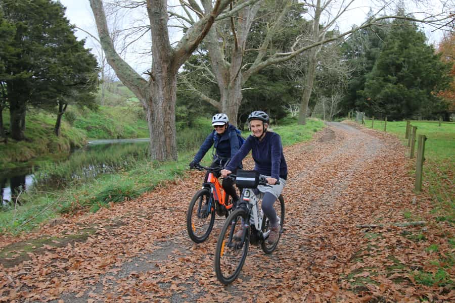 Full Day Ebike Tour - Karangahake Gorge NZ - From Auckland to Waikino by support van