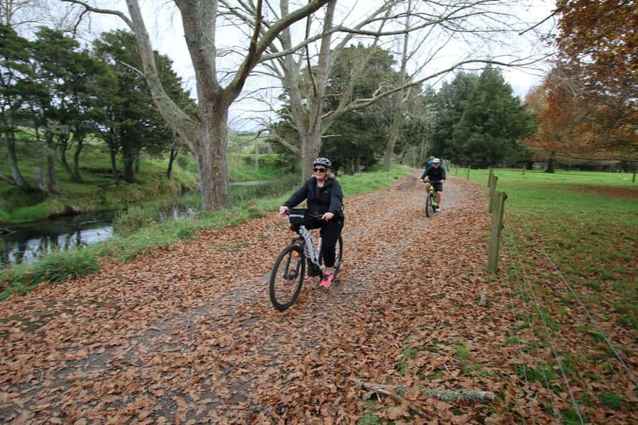 Full Day Ebike Tour - Karangahake Gorge NZ - What the grade and distance mean for you