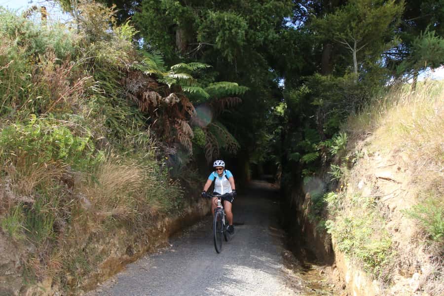 Full Day Ebike Tour - Karangahake Gorge NZ - Waikino to Waihi on the Hauraki Rail Trail