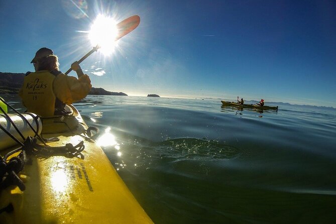 Full-Day Freedom Kayak Rental in New Zealand - Watering Cove and the optional uphill view