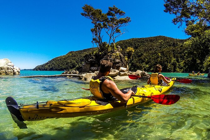 Full-Day Freedom Kayak Rental in New Zealand - Sea caves depend on the tide