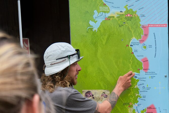 Full-Day Freedom Kayak Rental in New Zealand - Price, transport, and practical value