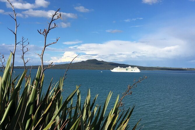 Full-Day Grand Auckland Volcanoes Tour - Your central Auckland lunch break is flexible