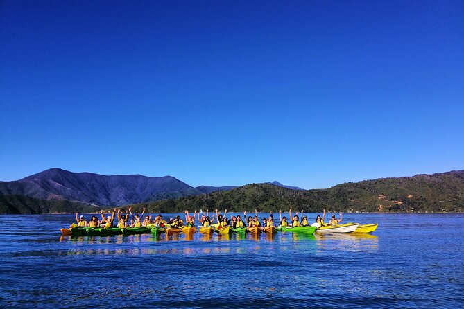 Full day Guided Sea Kayak Tour from Picton - Starting from Picton’s waterfront