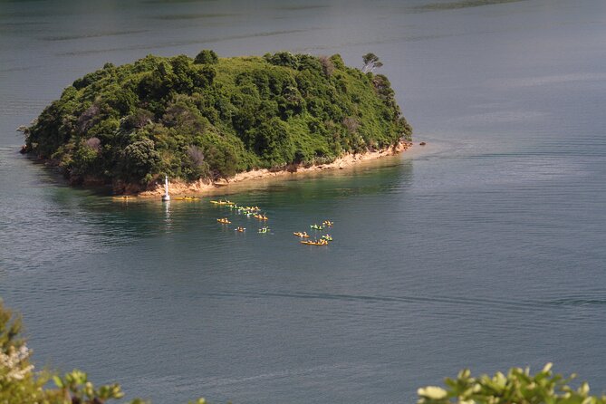 Full day Guided Sea Kayak Tour from Picton - Kayak equipment and comfort on a long day