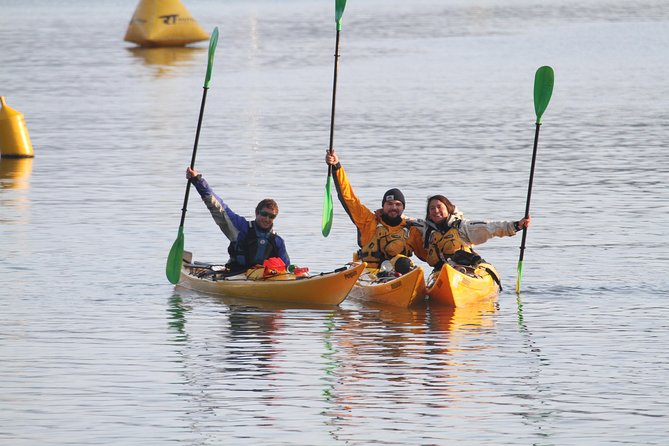 Full day Guided Sea Kayak Tour from Picton - Why the flexible guiding matters