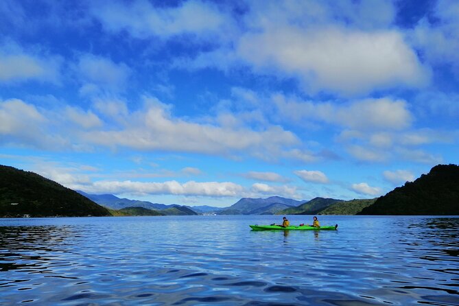 Full day Guided Sea Kayak Tour from Picton - What the price includes at $105.50