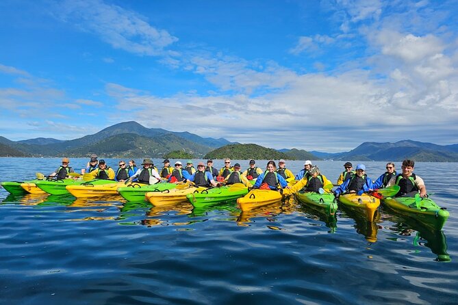 Full day Guided Sea Kayak Tour from Picton - Wildlife to watch for from the kayak