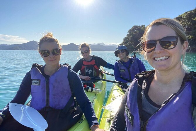 Full-Day Guided Sea Kayak Trip from Picton - Why Queen Charlotte Sound Works So Well by Kayak