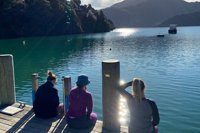 Full-Day Guided Sea Kayak Trip from Picton - Starting in Picton at 8:15 am