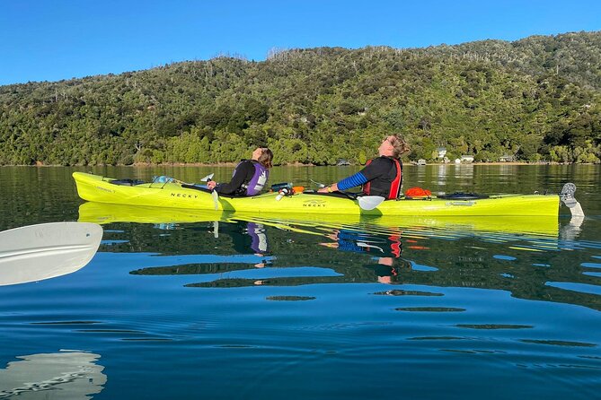 Full-Day Guided Sea Kayak Trip from Picton - Into the Grove Arm for Lunch