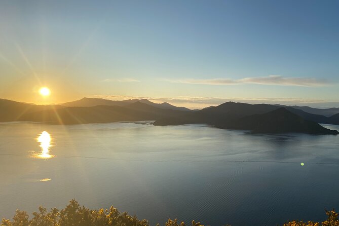 Full-Day Guided Sea Kayak Trip from Picton - How Much Kayaking Is Involved?