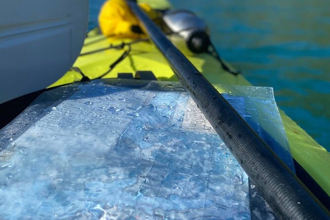 Full-Day Guided Sea Kayak Trip from Picton - Who Should Book This Trip?