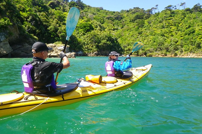 Full-Day Guided Sea Kayak Trip from Picton - Crossing the Harbor and Reaching the Sound