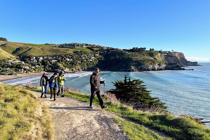 Full Day Guided Walking Tour and Picnic around Godley Head - Why Godley Head makes such a good Christchurch day out