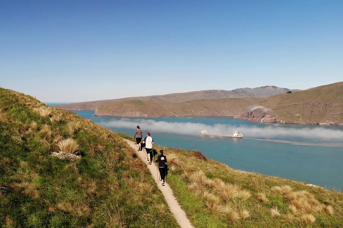 Full Day Guided Walking Tour and Picnic around Godley Head - The Godley Head Loop mixes cliffs, beaches, and wartime sites