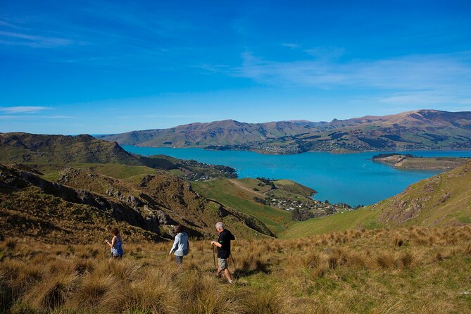 Full Day Guided Walking Tour and Picnic around Godley Head - The guides are the biggest part of the value