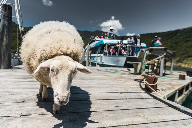 Full Day Iconic Mail Boat Cruise - Weather, comfort, and access