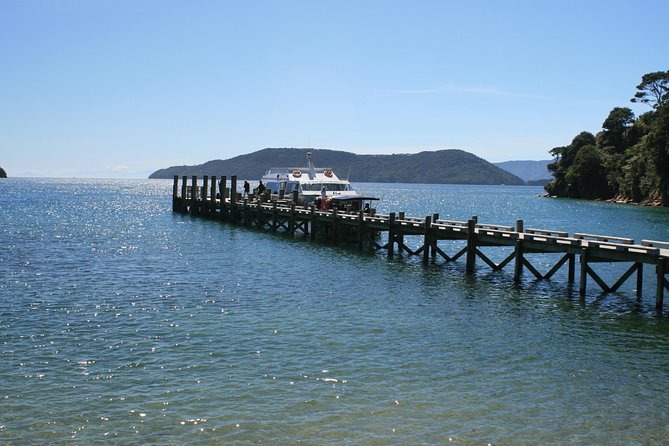 Full-Day Marlborough Catamaran Cruise with Wine Tour and Lunch - Key points to know before booking