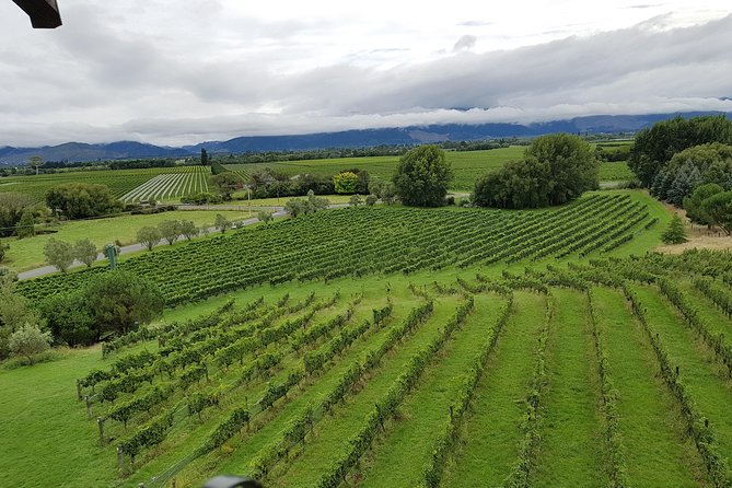 Full-Day Marlborough Catamaran Cruise with Wine Tour and Lunch - What the $235.82 price really buys you