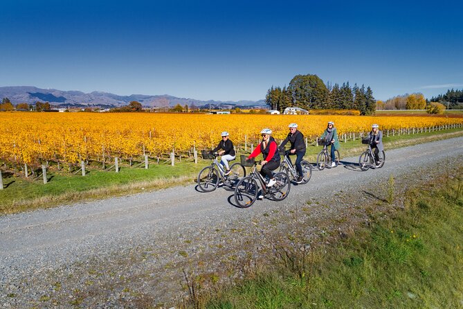 Full-Day Marlborough Wine Region Bike Hire - What the included equipment adds to the value