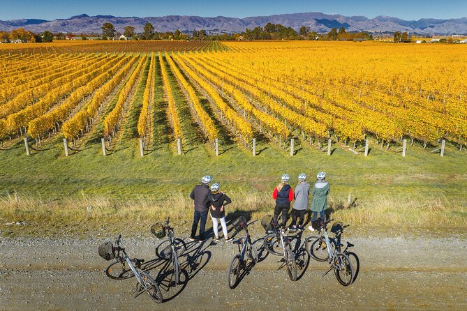 Full-Day Marlborough Wine Region Bike Hire - The transport detail you should settle first
