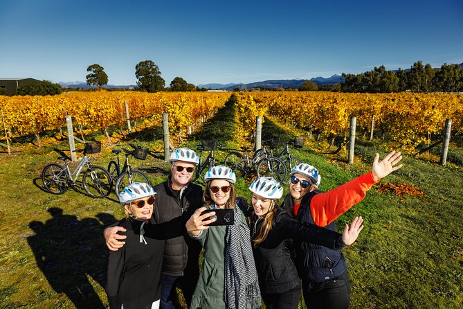 Full-Day Marlborough Wine Region Bike Hire - Starting at The Vines Village or Blenheim CBD