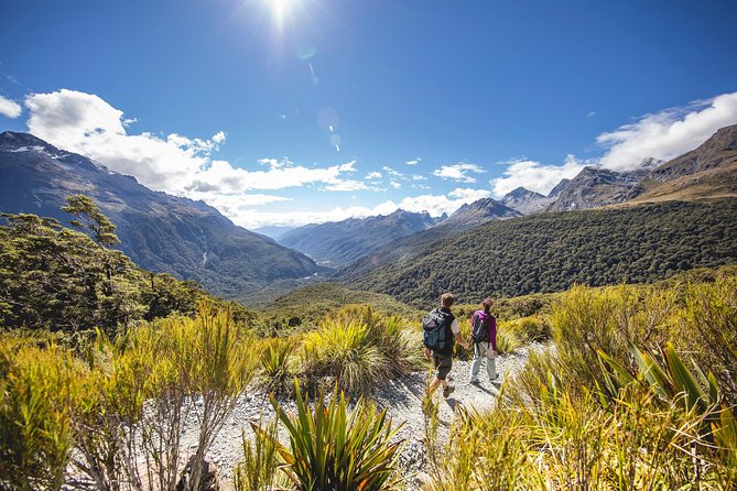 Full-Day Milford Sound Tour with Cruise and Walks from Te Anau - The two-hour Milford Sound cruise