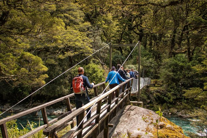 Full-Day Milford Sound Tour with Cruise and Walks from Te Anau - Walks that keep the day from becoming a bus ride