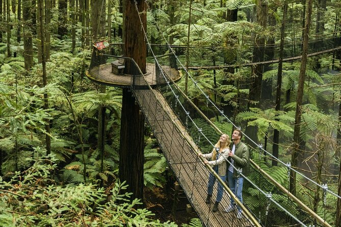 FULL DAY ROTORUA TOUR - Fully Customisable 13 hours Unlimited KMS - Why the private format can be worth $579
