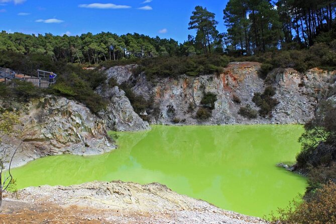 FULL DAY ROTORUA TOUR - Fully Customisable 13 hours Unlimited KMS - Forest walks, farm life, and unusual Rotorua activities