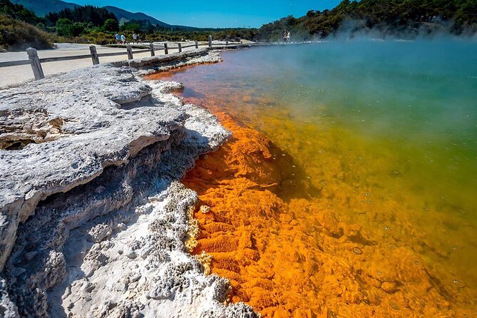 FULL DAY ROTORUA TOUR - Fully Customisable 13 hours Unlimited KMS - Practical details before you book